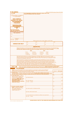 2004 Annual Survey of Local Government Finances