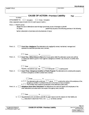 Premises Liability Complaint Form