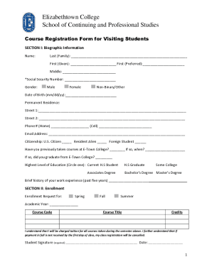 Form preview