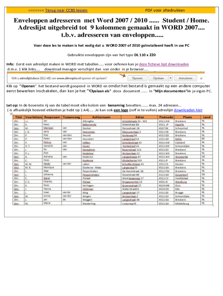 Form preview