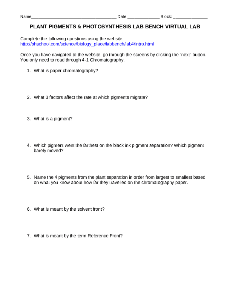 plant pigments & photosynthesis lab bench virtual lab Doc Template