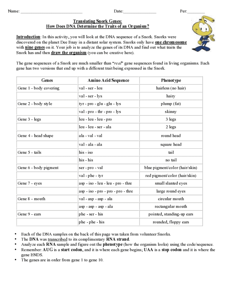 Fillable Online Answer key Snorks.doc Name Date How Does DNA