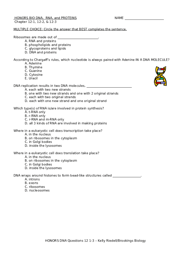 What Should I Know About DNA, RNA, & Proteins - Biology Doc Template ...