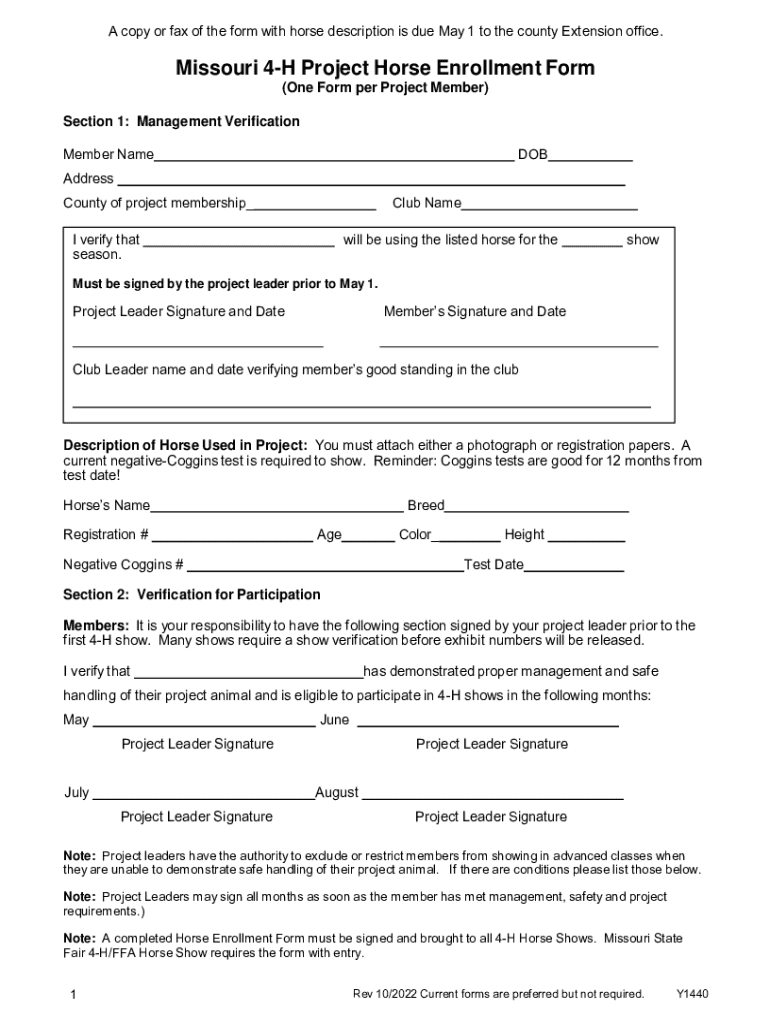 form online Preview on Page 1