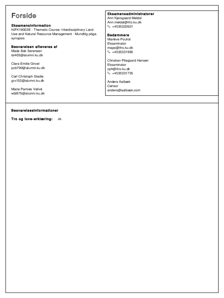 Form preview