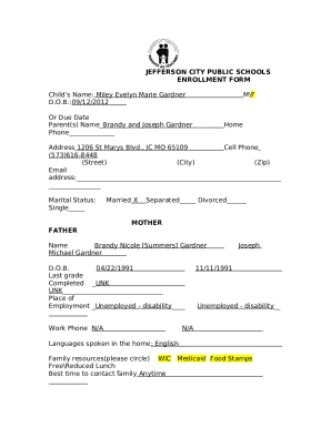 Form preview