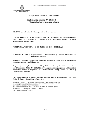 PLIEGO DE BASES Y CONDICIONES PARTICULARES - ENRE