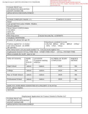 Form preview