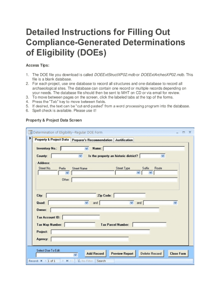 Form preview