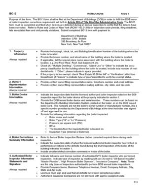 BO13 Boiler Inspection Correction Form