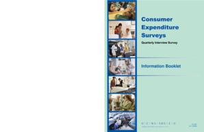 US Census Bureau CE-305 Survey Form