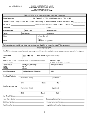 US Federal Presentence Interview Form