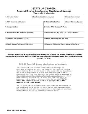 Georgia Divorce Decree Report