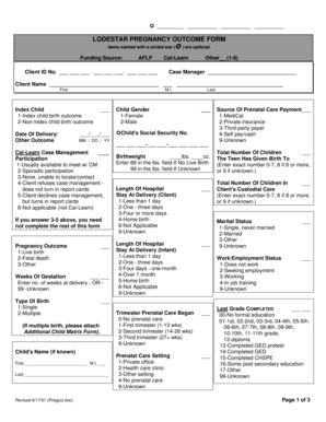 Lodestar Pregnancy Outcome Form