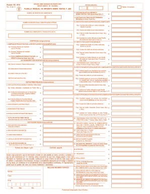 Form preview picture