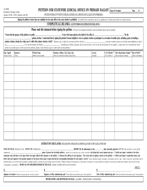 Texas Petition for Statewide Judicial Office on Primary Ballot