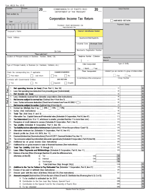 Puerto Rico Corporation Income Tax Return Form 480.20