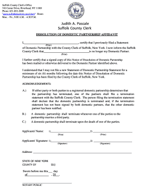 domestic aprtnership affidavit suffolk county