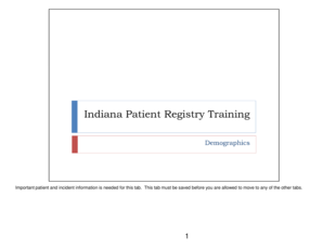 Demographics Tab for Trauma Registry