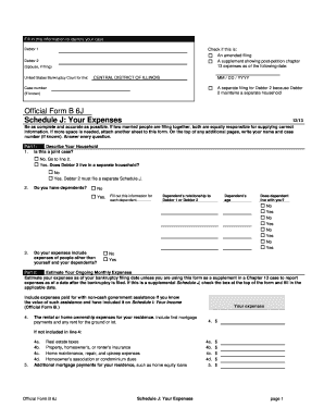 US Bankruptcy Court Schedule J Form