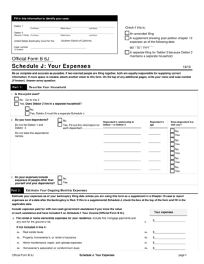 US Bankruptcy Court Schedule J Form