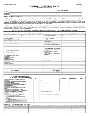 Personal Financial Statement for Credit Application