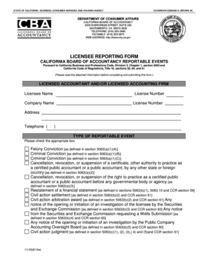 California Accountant Reporting Form