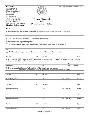 Texas Professional Association Annual Statement Form 803