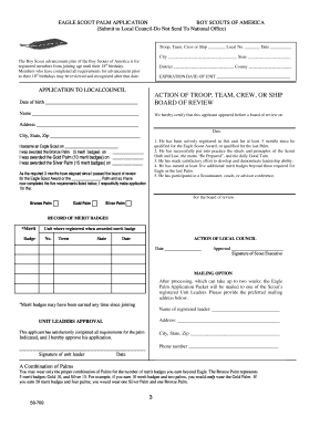 Eagle Scout Palm Application Packet
