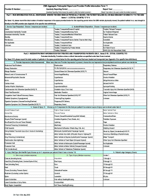 EMS Aggregate Prehospital Report and Provider Profile Information Form