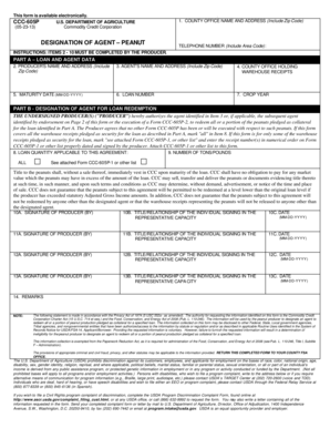 Designation of Agent Peanut Loan Form