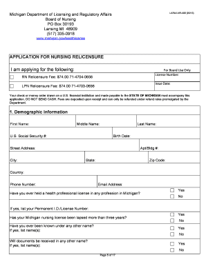 Michigan Registered Nurse and Licensed Practical Nurse Relicensure Application