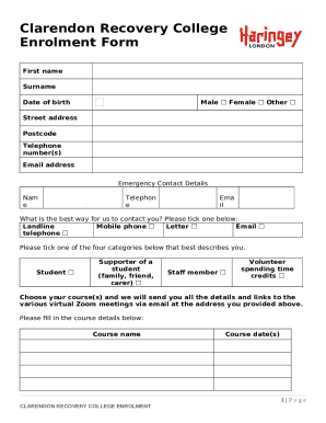 Form preview