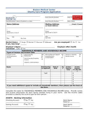 (3) Charity Care Program Application. ... Doc Template | pdfFiller