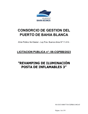 Puerto de Baha Blanca firm contrato para avanzar con la ...