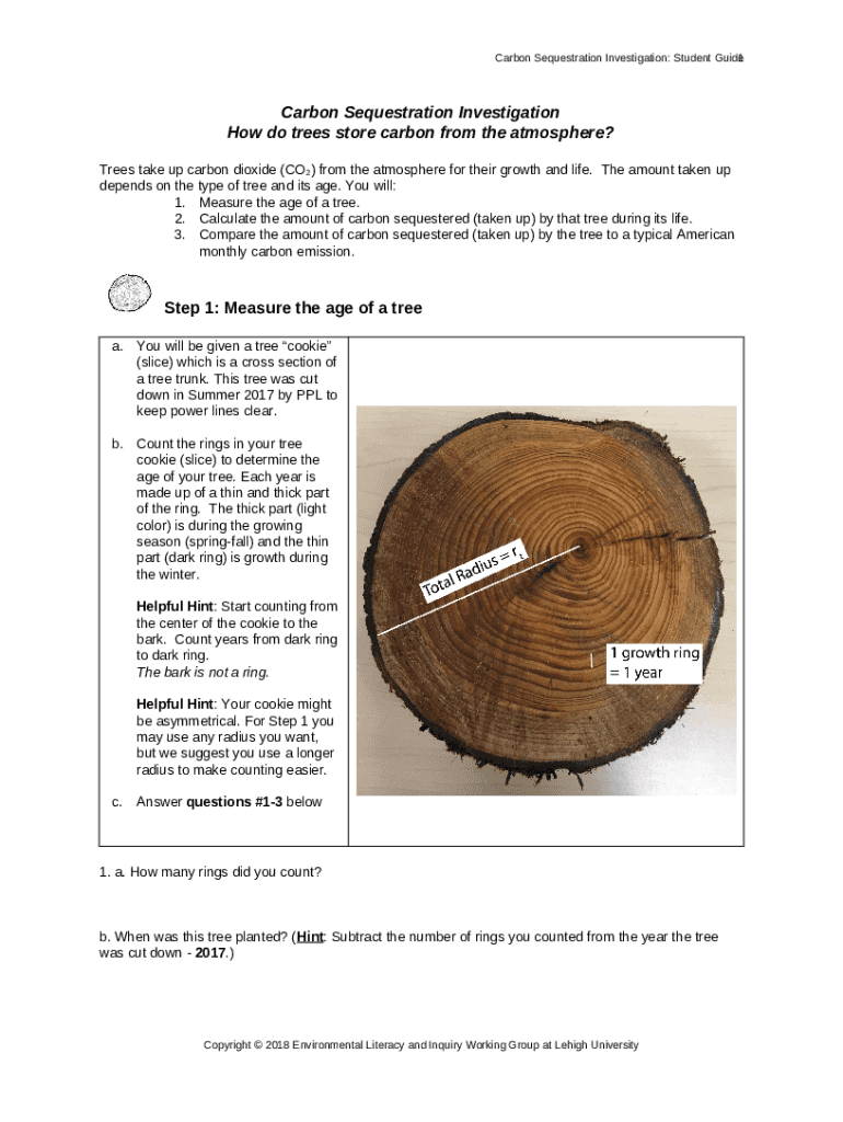 How is carbon stored in trees and wood products? Doc Template pdfFiller