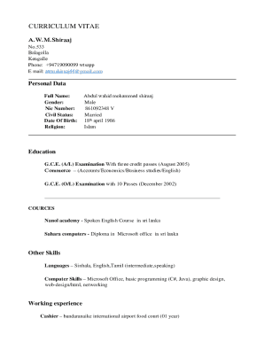 CURRICULUM VITAE - Mega Mall