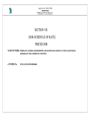 Fillable Online SECTION-VII SOR-SCHEDULE OF RATE PRICED SOR Fax Email ...