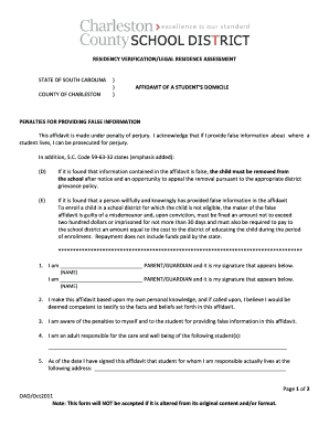 South Carolina Student Domicile Affidavit