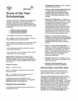 VFW Scout of the Year Application