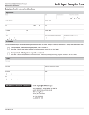 New York State Audit Report Exemption Form