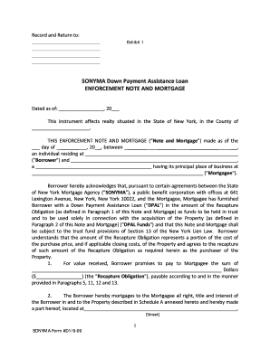 assignment of shareholder loan