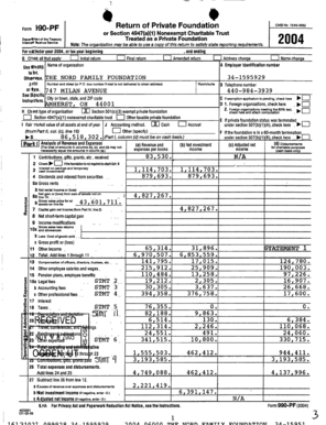 Form 990-PF 2004