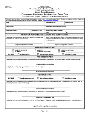 Michigan Group Three Managers Performance Rating Form