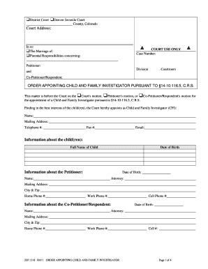 Order Appointing Child and Family Investigator