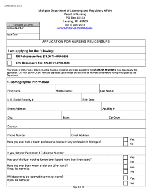 Michigan Registered Nurse and Practical Nurse Relicensure Application