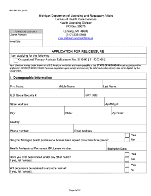 Michigan Occupational Therapy Assistant Relicensure Application