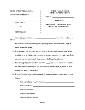 South Carolina Support Payment Affidavit