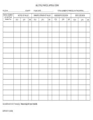 Multiple Parcel Appeal Form