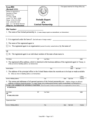 Texas Limited Partnership Periodic Report Form 804